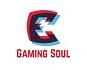 Gaming Soul